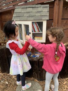 Using the Little Library
